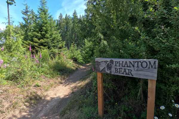 West Phantom Bear