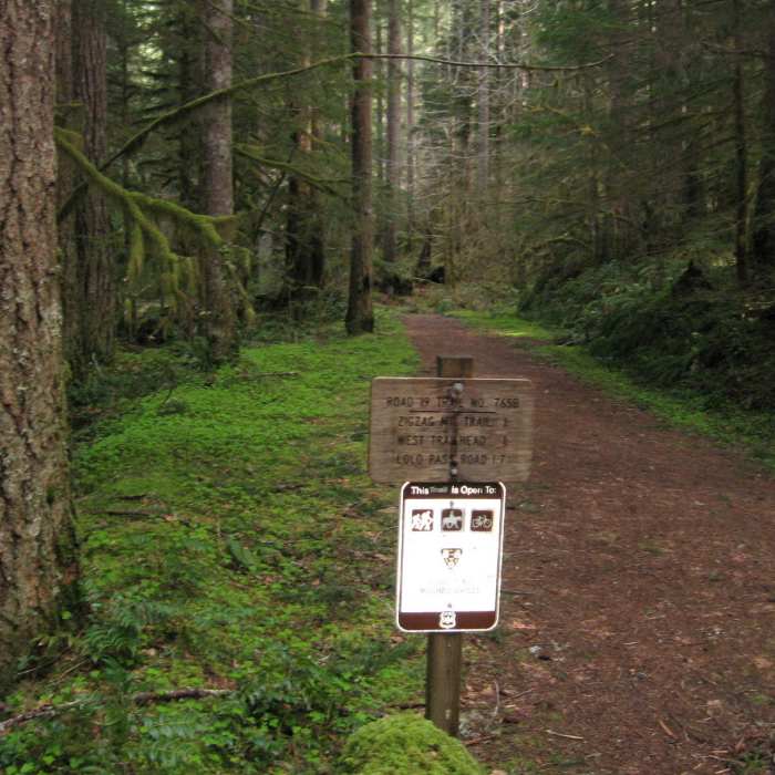 Near Road 19 Trail #775B