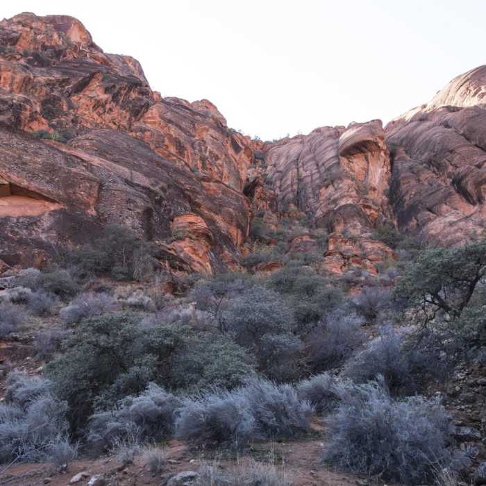 Near Red Cliffs Nature Trail