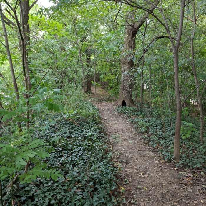 Near Prospect Park Trail Loop