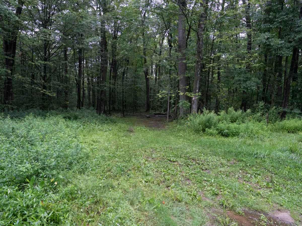 Eckert Road photo 4