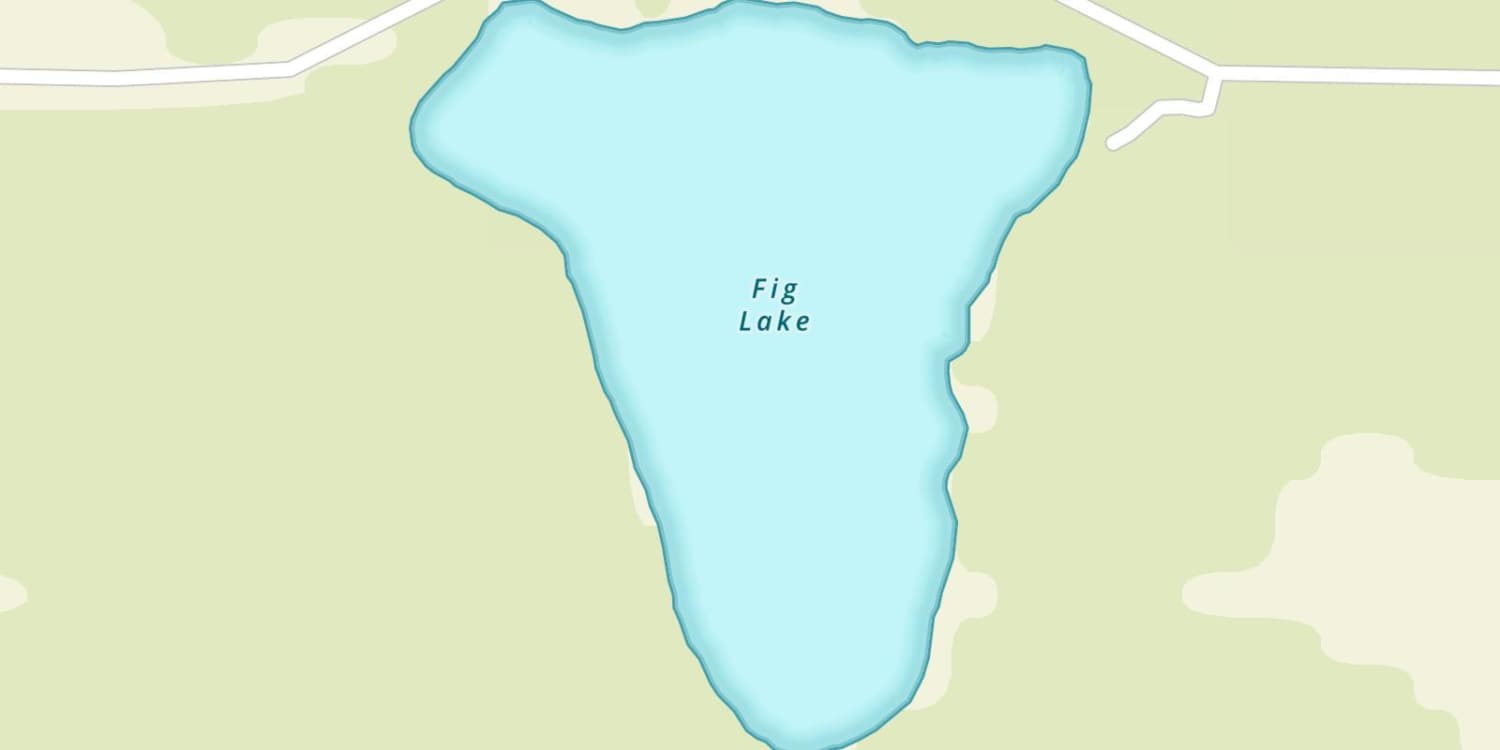 Fig Lake
