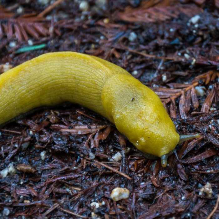Near Eagle Creek Trail Hike
