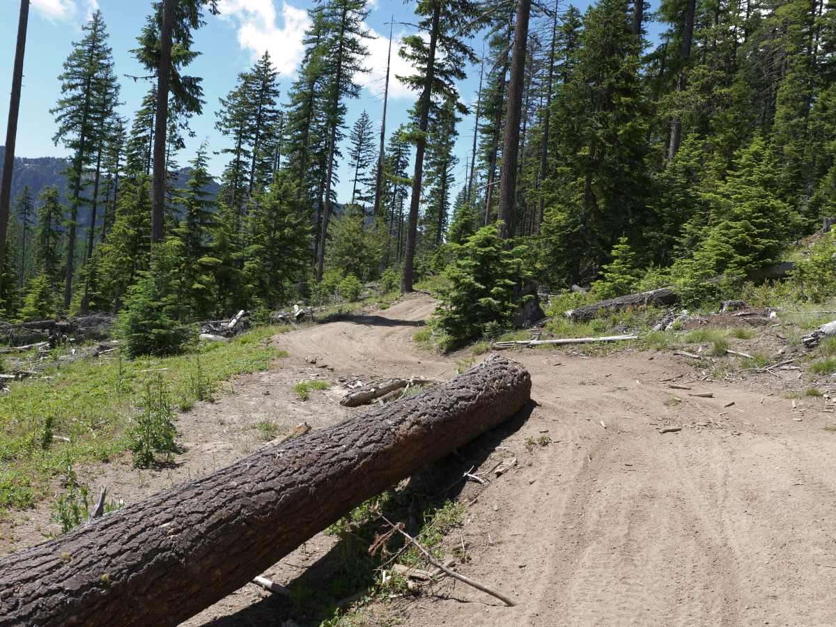 Raven's Roost trail photo