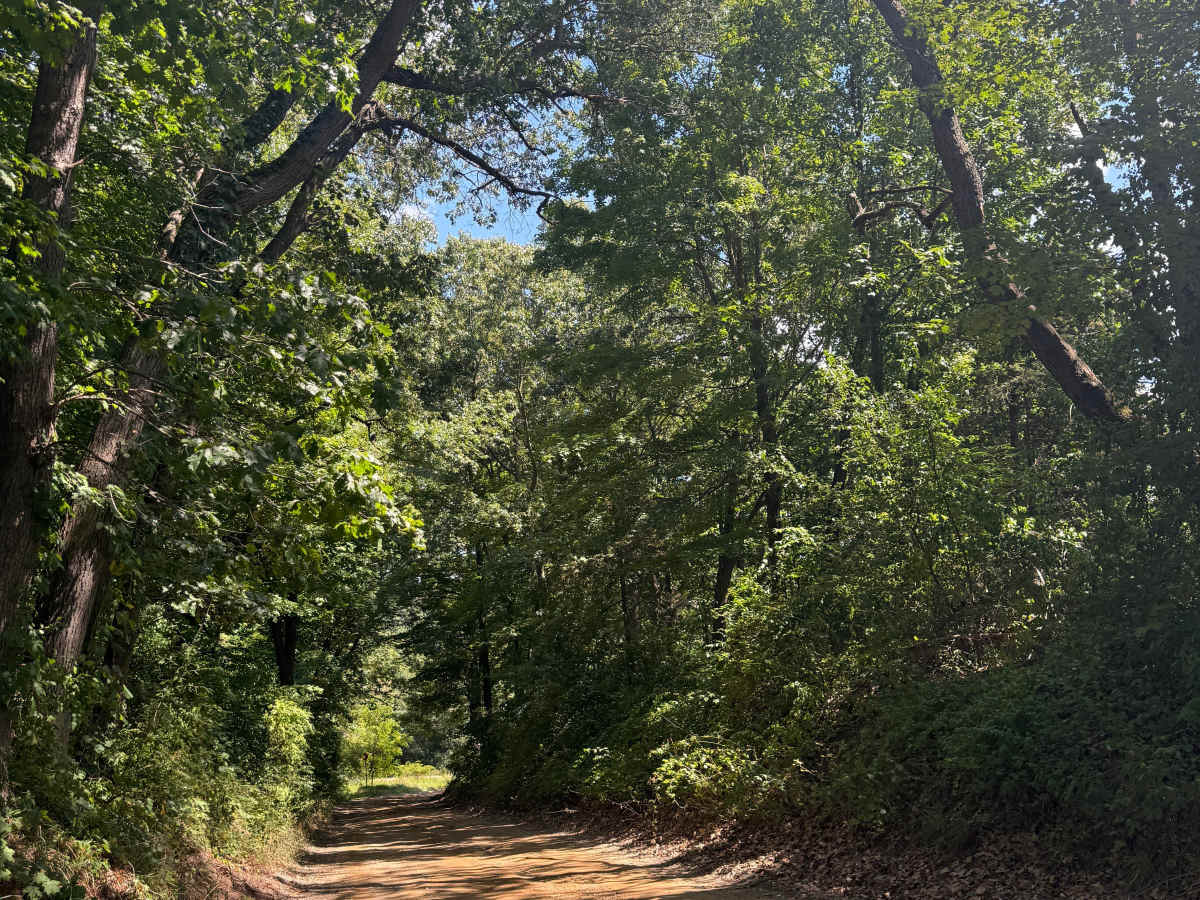 Glenn West Trail photo 2