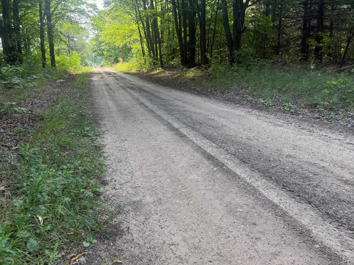 10-1/2 Trail photo 4