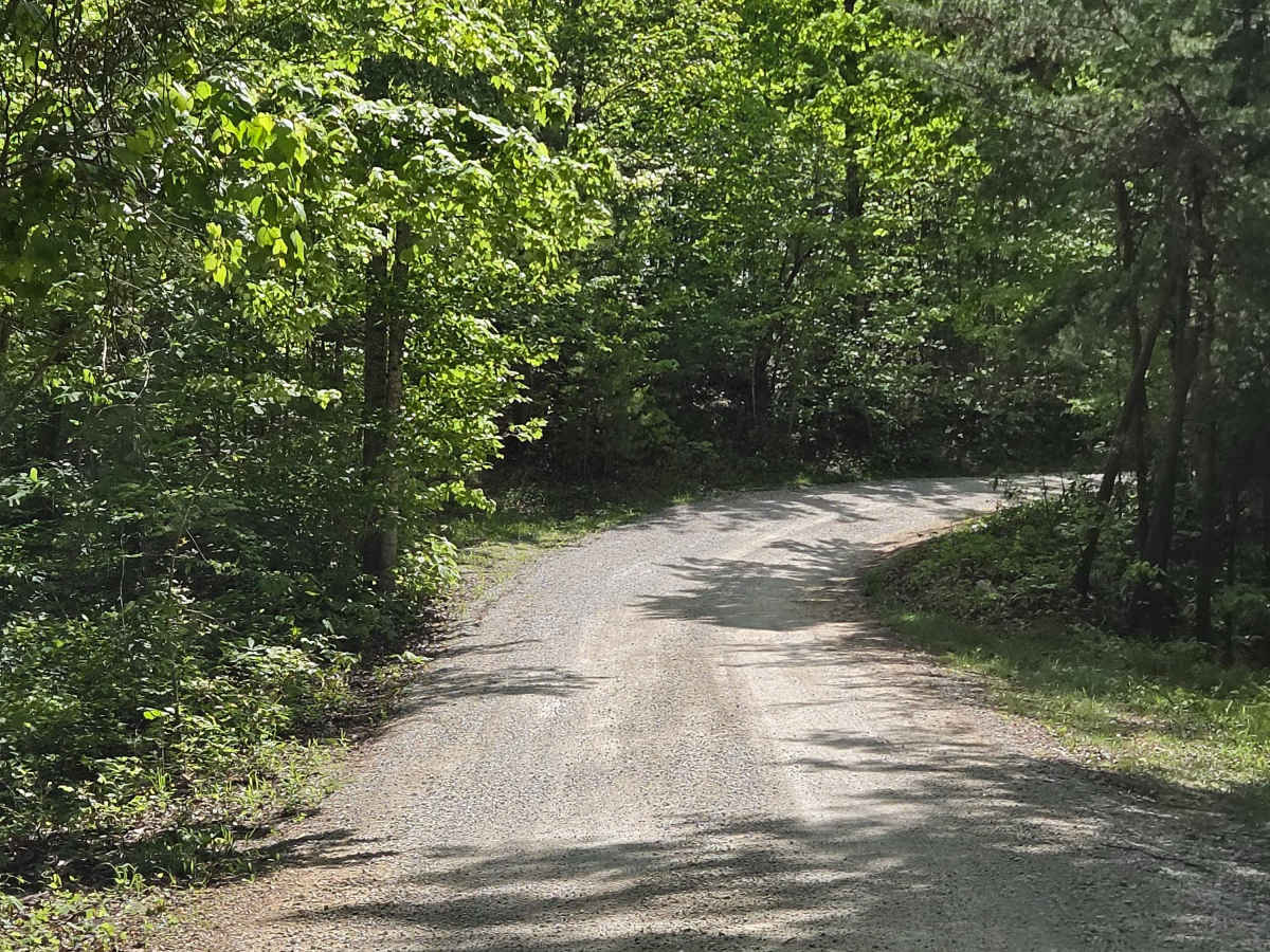Indian Valley/Arrowhead Trace trail photo