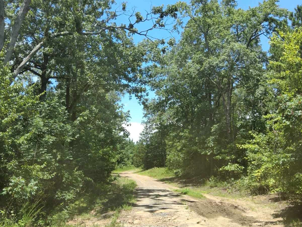 Slick Rock Road photo 2