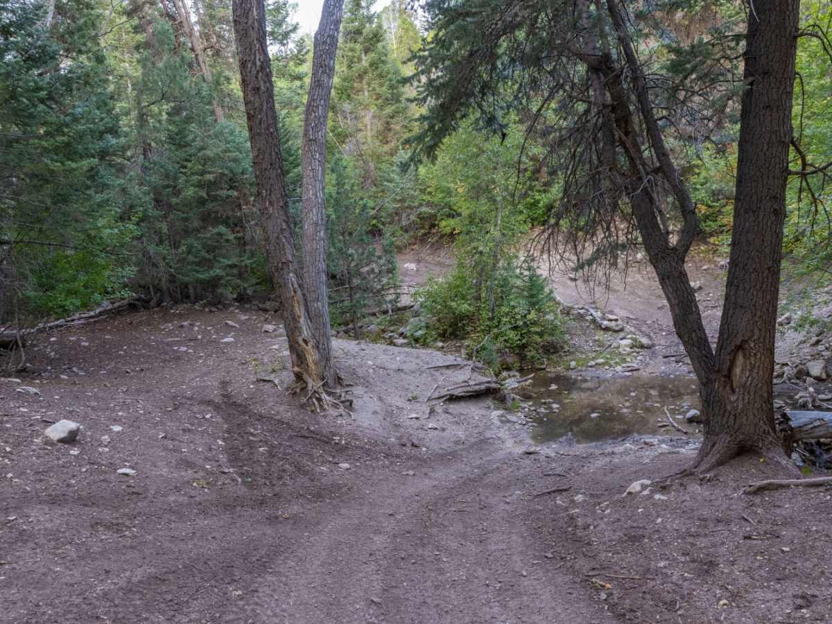 Clear Creek photo 2