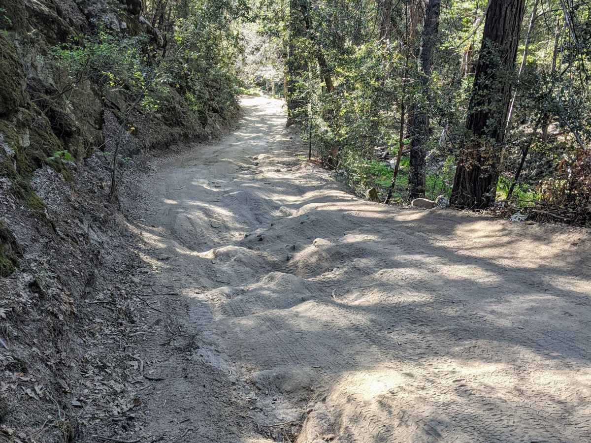 San Jacinto Ridge Trail (FS 5S09) photo 6