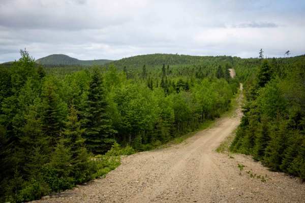 Mount Fronsac Trail