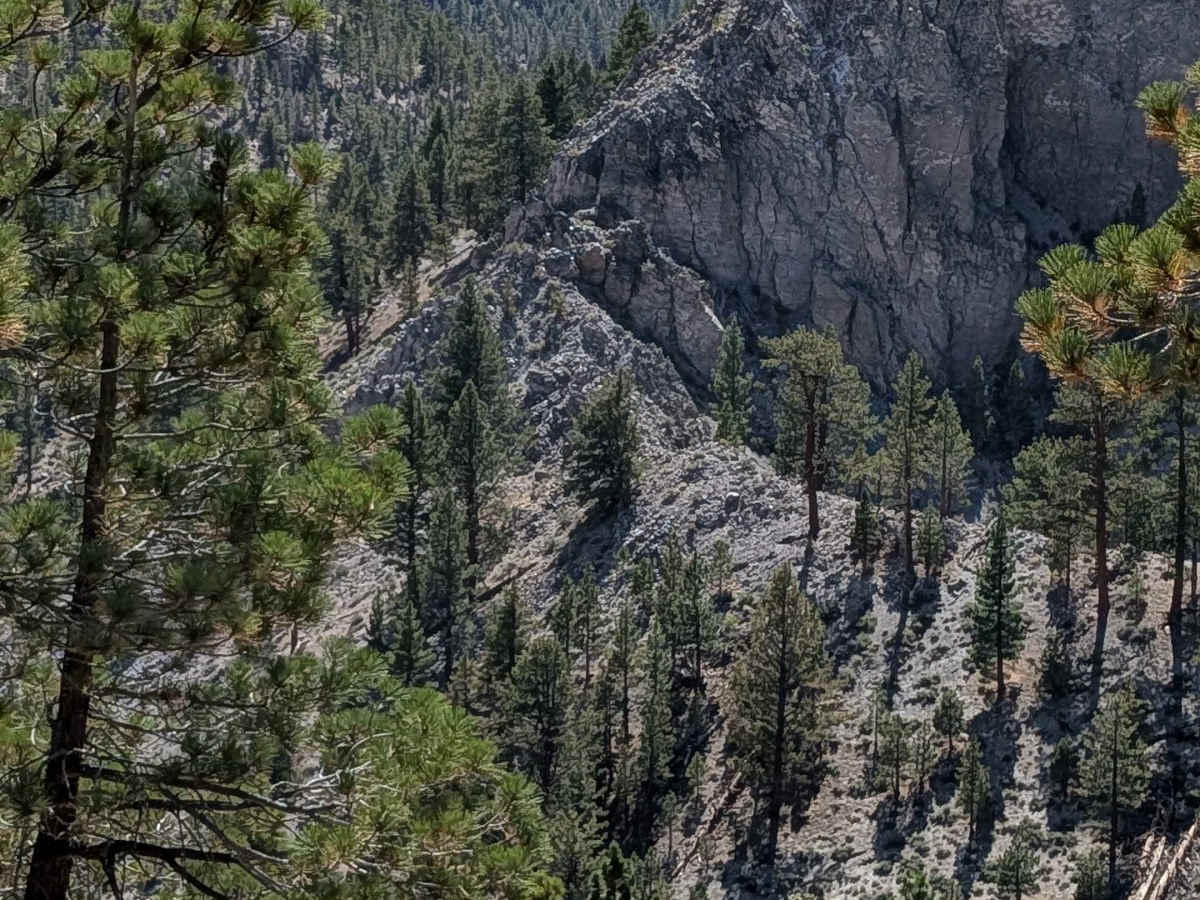 Forest Service Road 1S127 photo 4