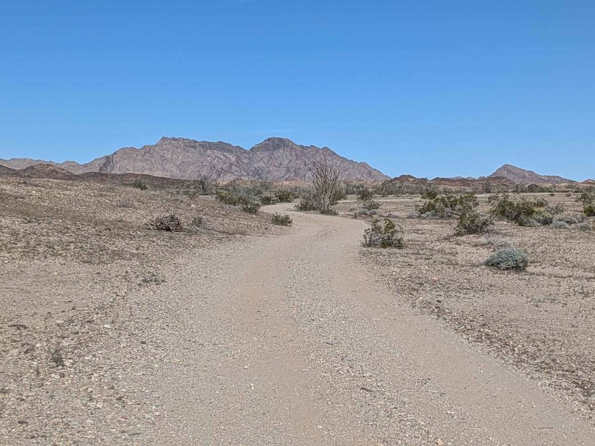 BLM 636 Cut Off photo 2