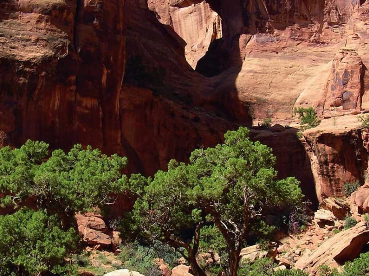 Bull Canyon, Day Canyon trail photo