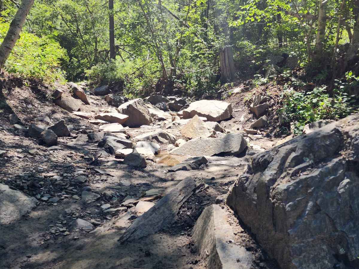 Jake Section 2 trail photo