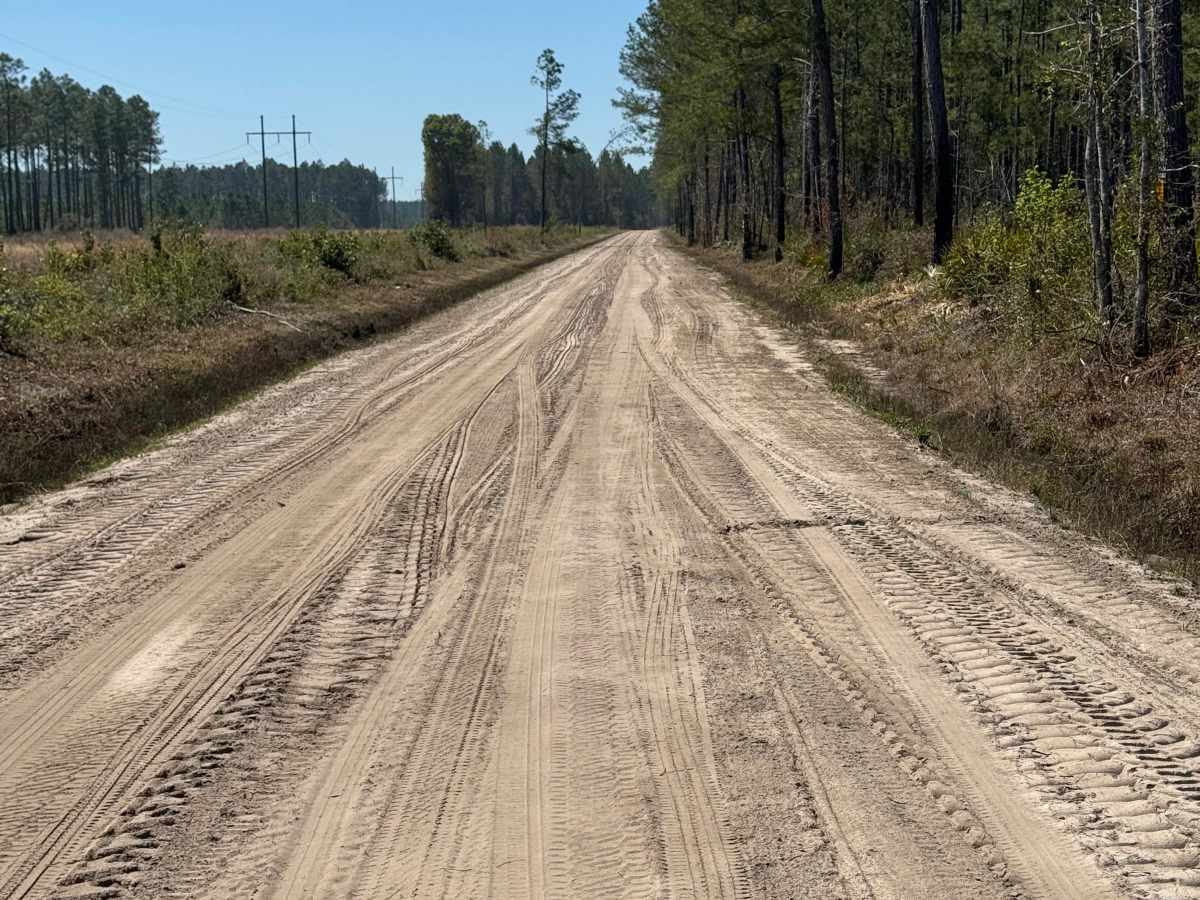 River Road trail photo