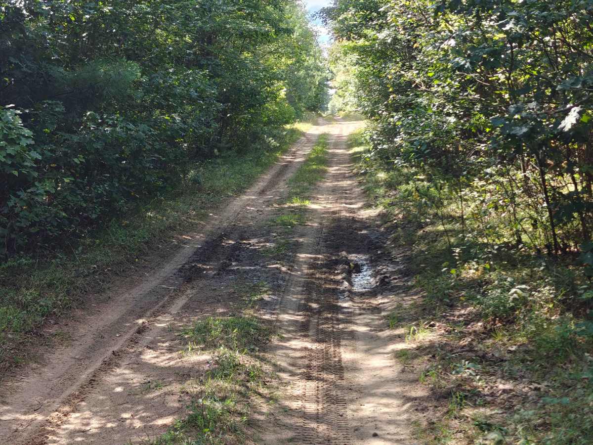 Oil Pump Trail photo 3