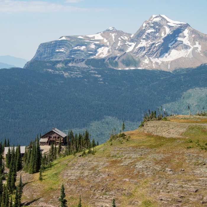 Near Swiftcurrent Lookout