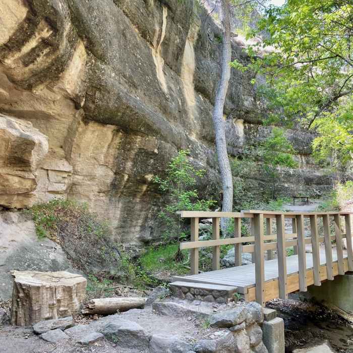 Near Gila Cliff Dwellings Hike