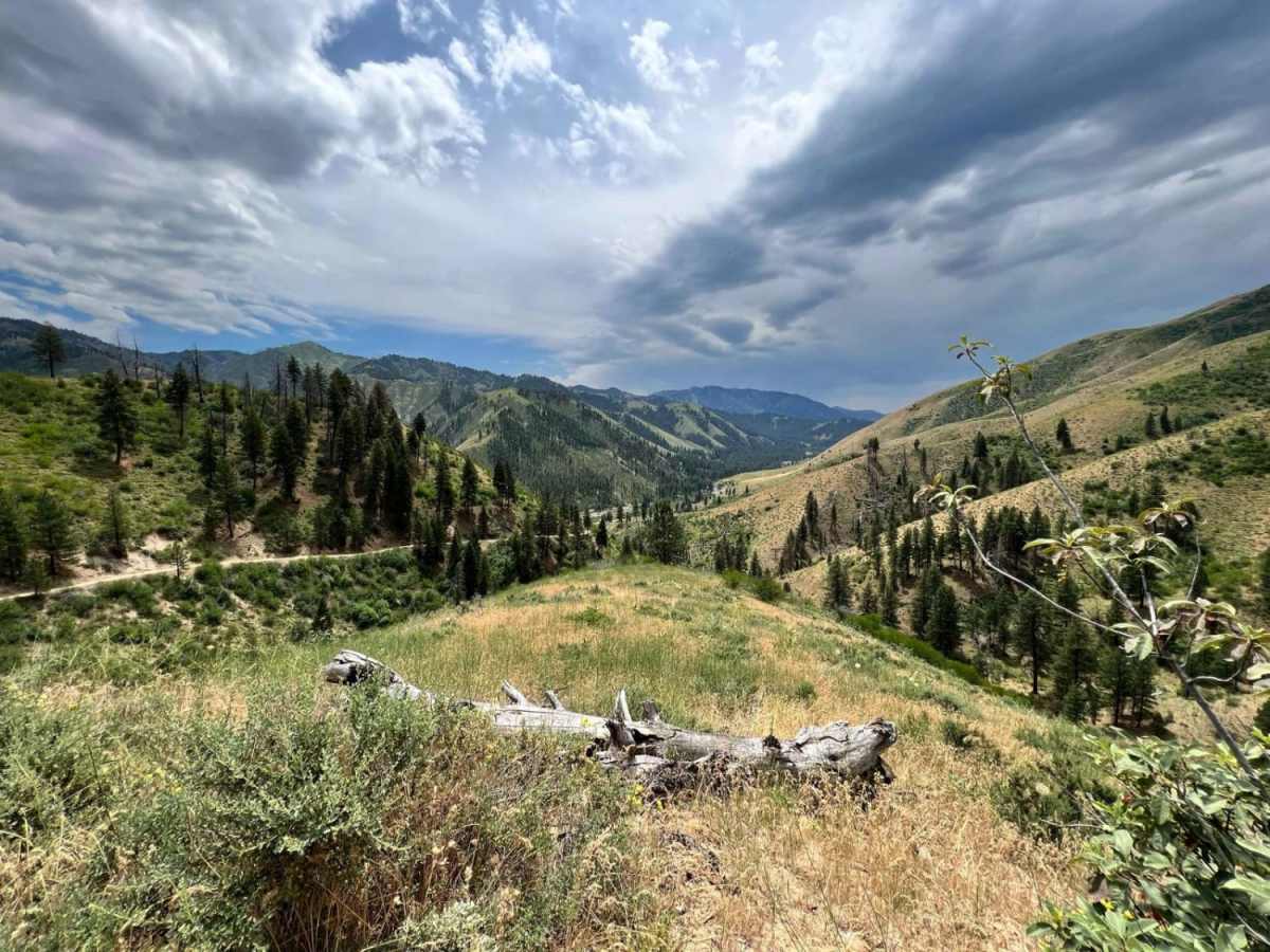 Bear Valley to Lowman trail photo