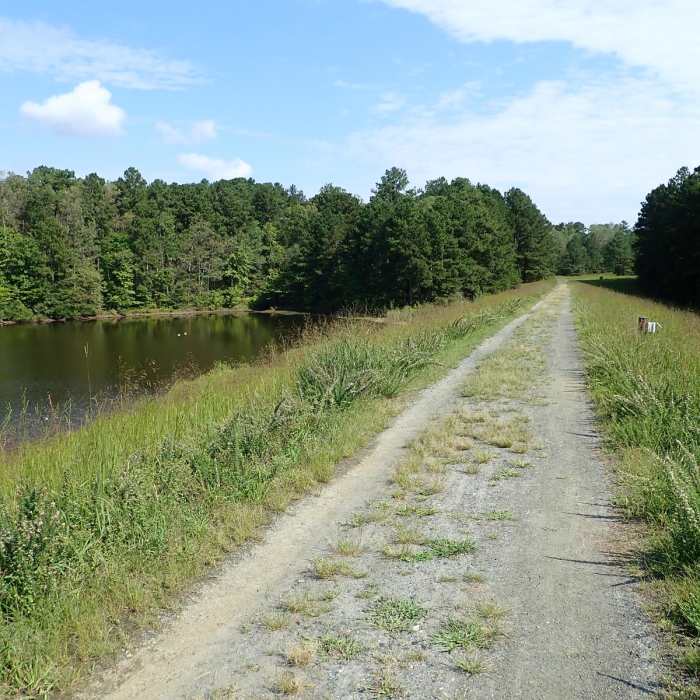 Near St. Mary's Lake Loop Trail Near St. Mary's Lake Loop Trail