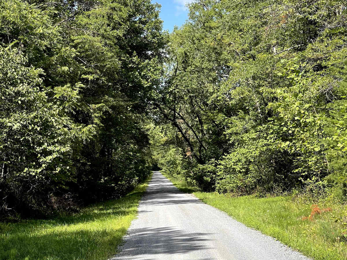 Old Rail Road  photo 3