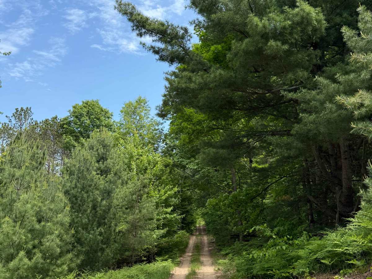 Vinton Trail West trail photo