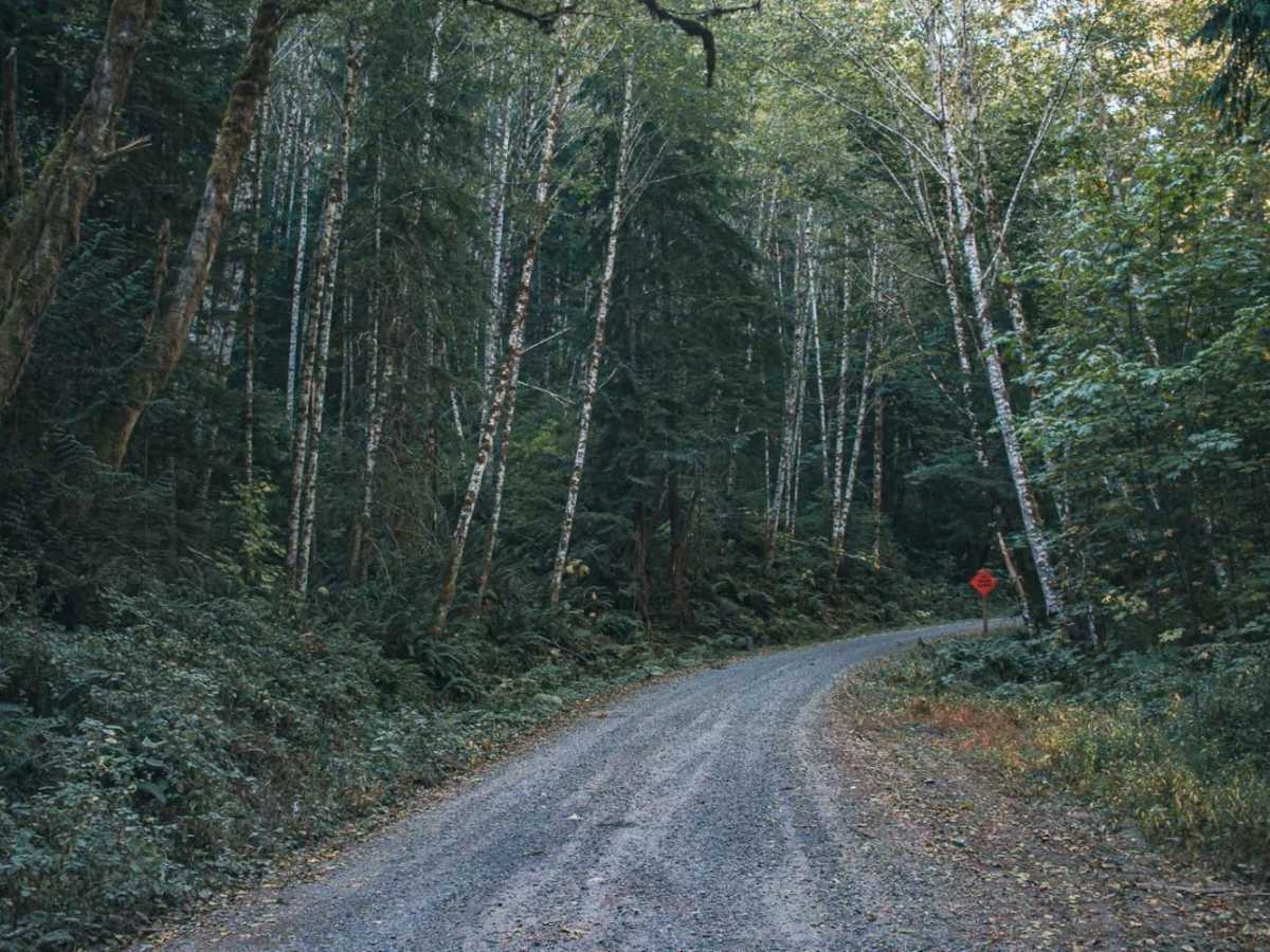 Schooley Creek trail photo