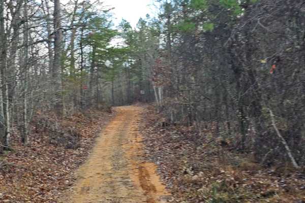 Mule Trail