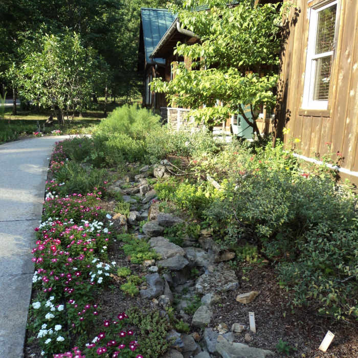 Near Horseshoe Trail