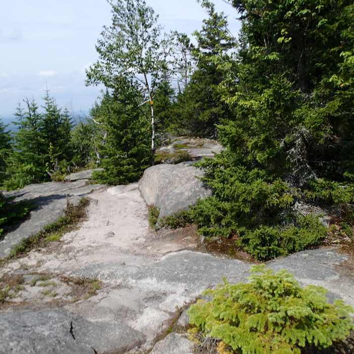Catamount Mountain Trail. Near Catamount Mountain Trail