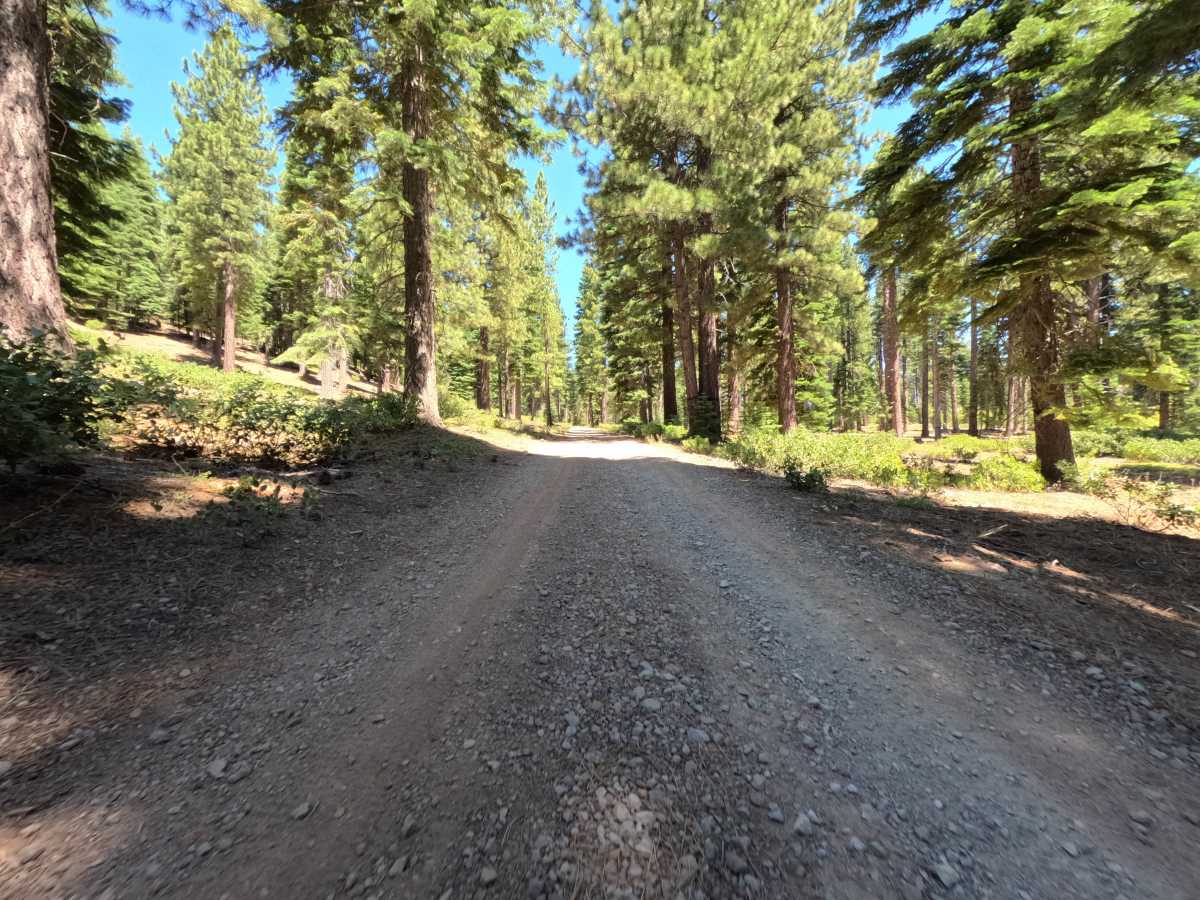 Bald Mountain Road photo 5