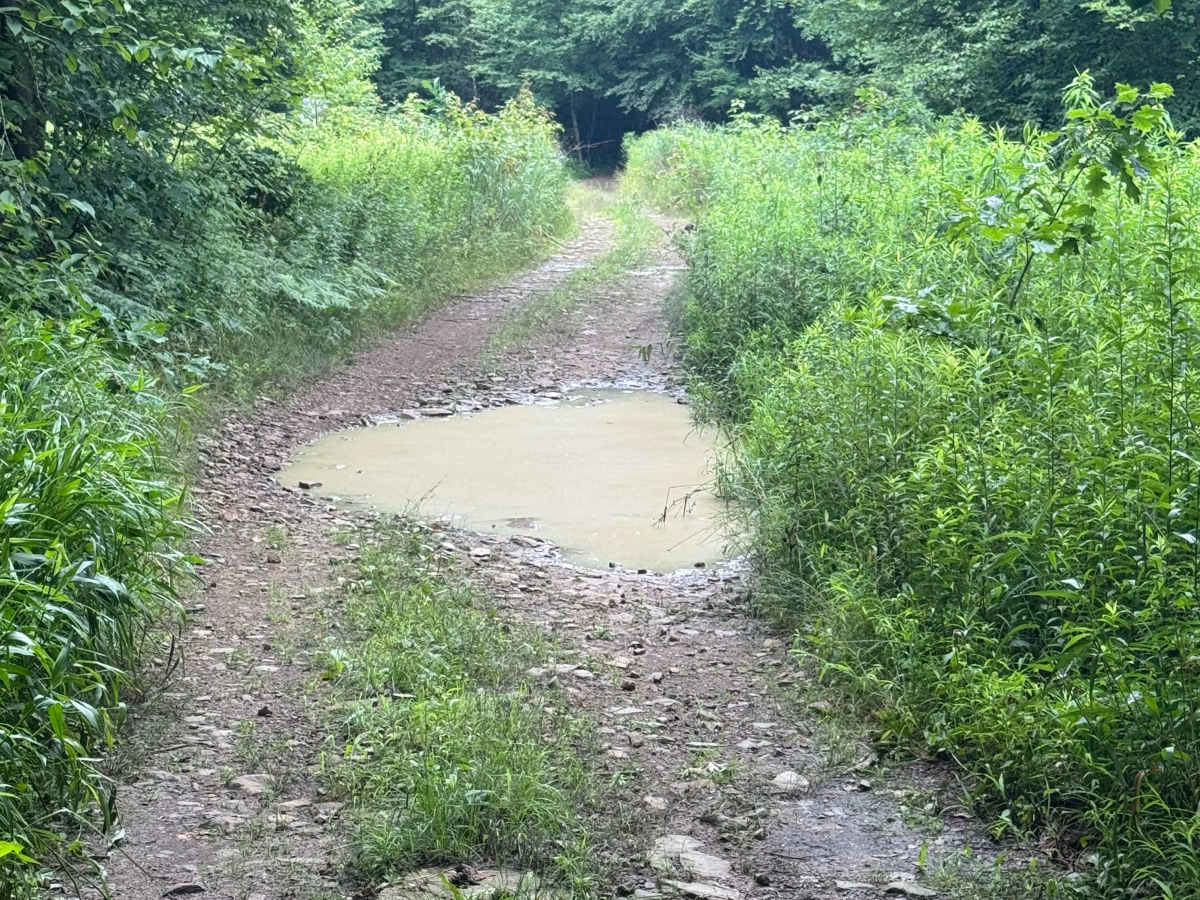 Trail 66 photo 5