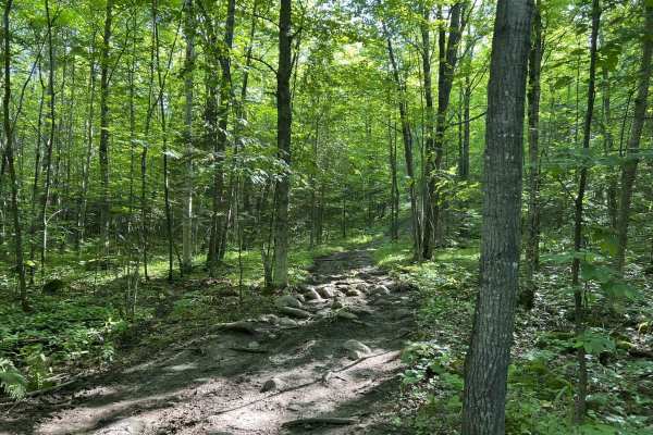 Forest County ATV/ SxS Area Hill Climb Access