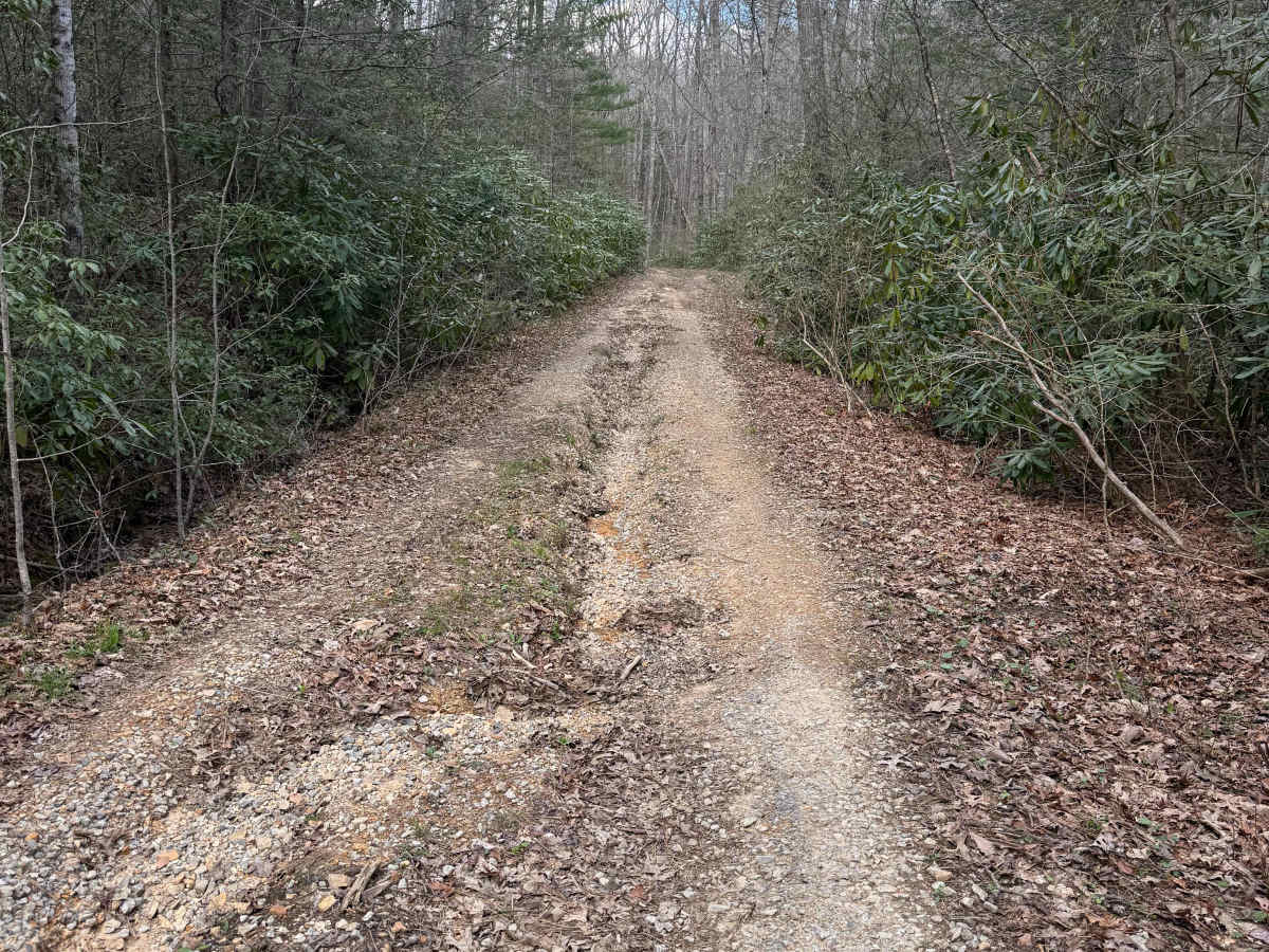Quarter Branch Road photo 4