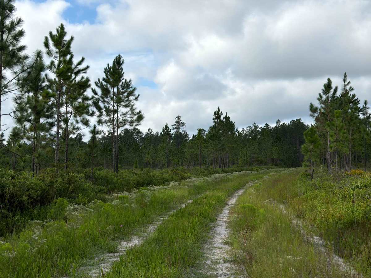 Little Bear Bay - FS 221 photo 4