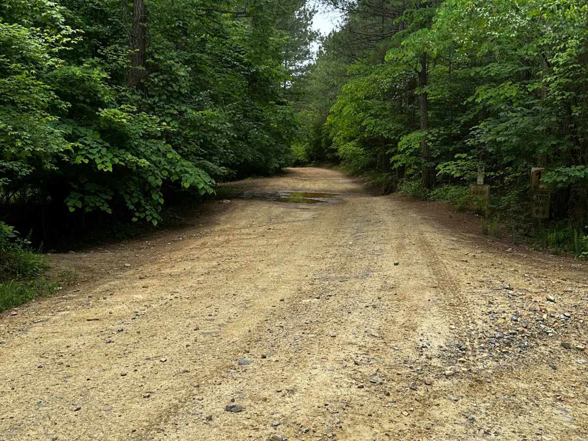 Service Road 17 (SR 17) photo 4