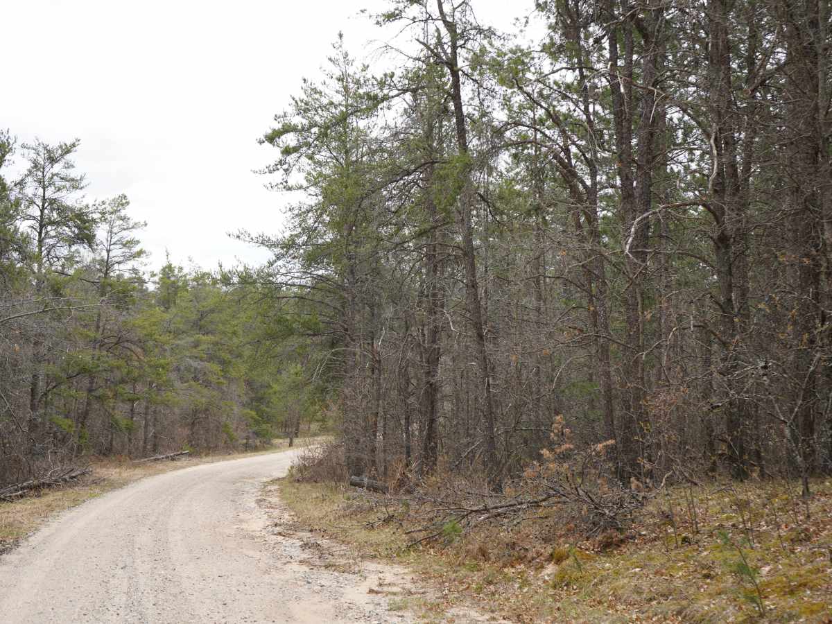 Deyarmond Valley Road photo 4