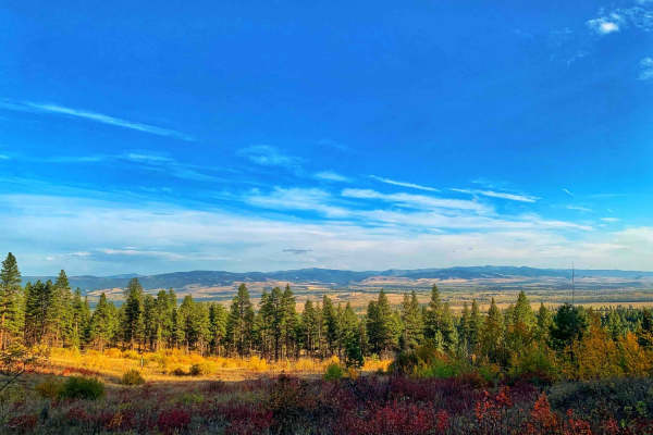 Bass Overlook Trail