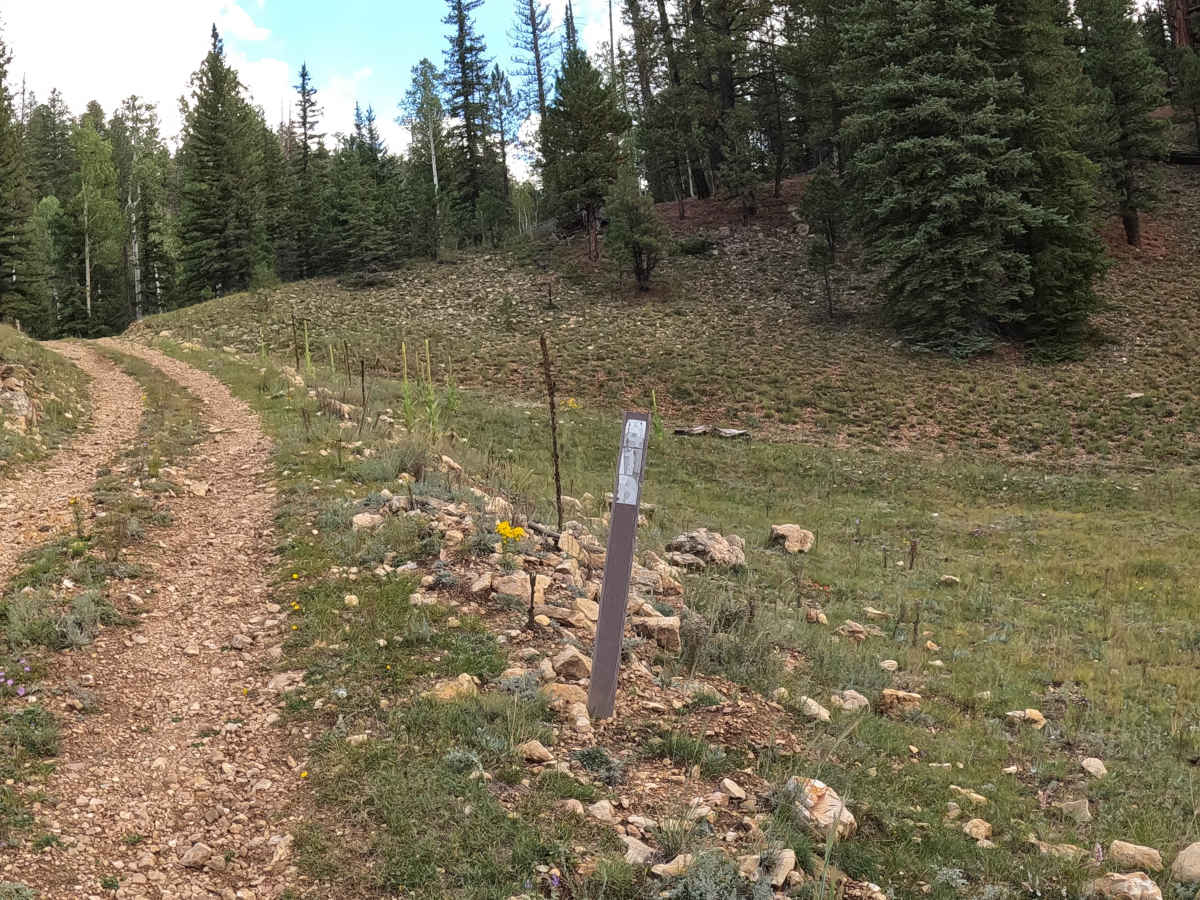 FS 418 trail photo