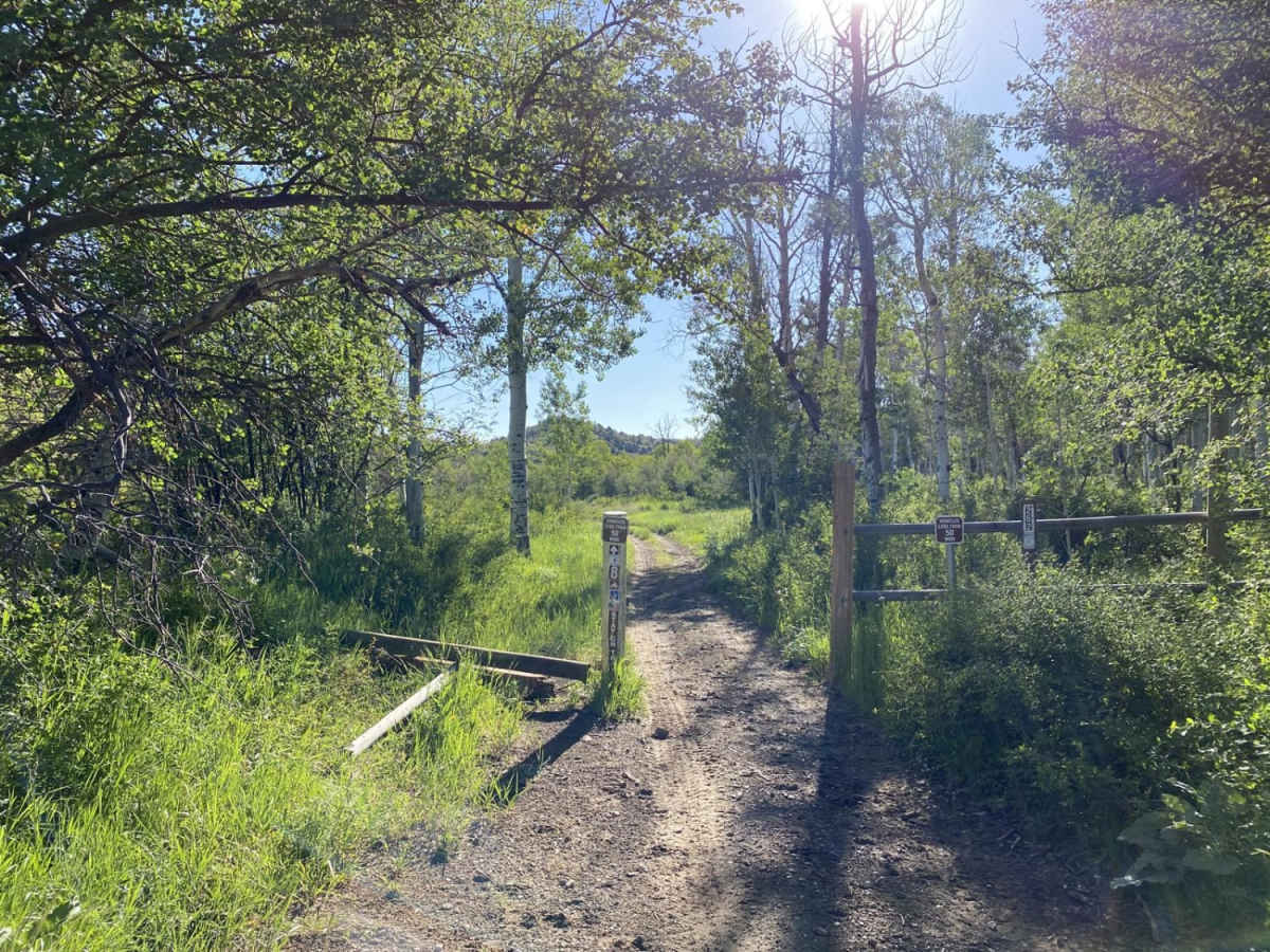 Antones Hollow Trail photo 2