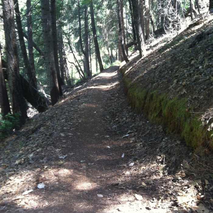 Near Bullards Bar Trail