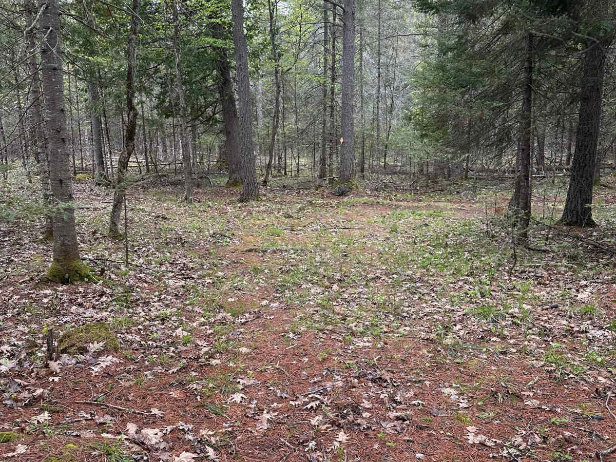 Short Run Loop photo 4