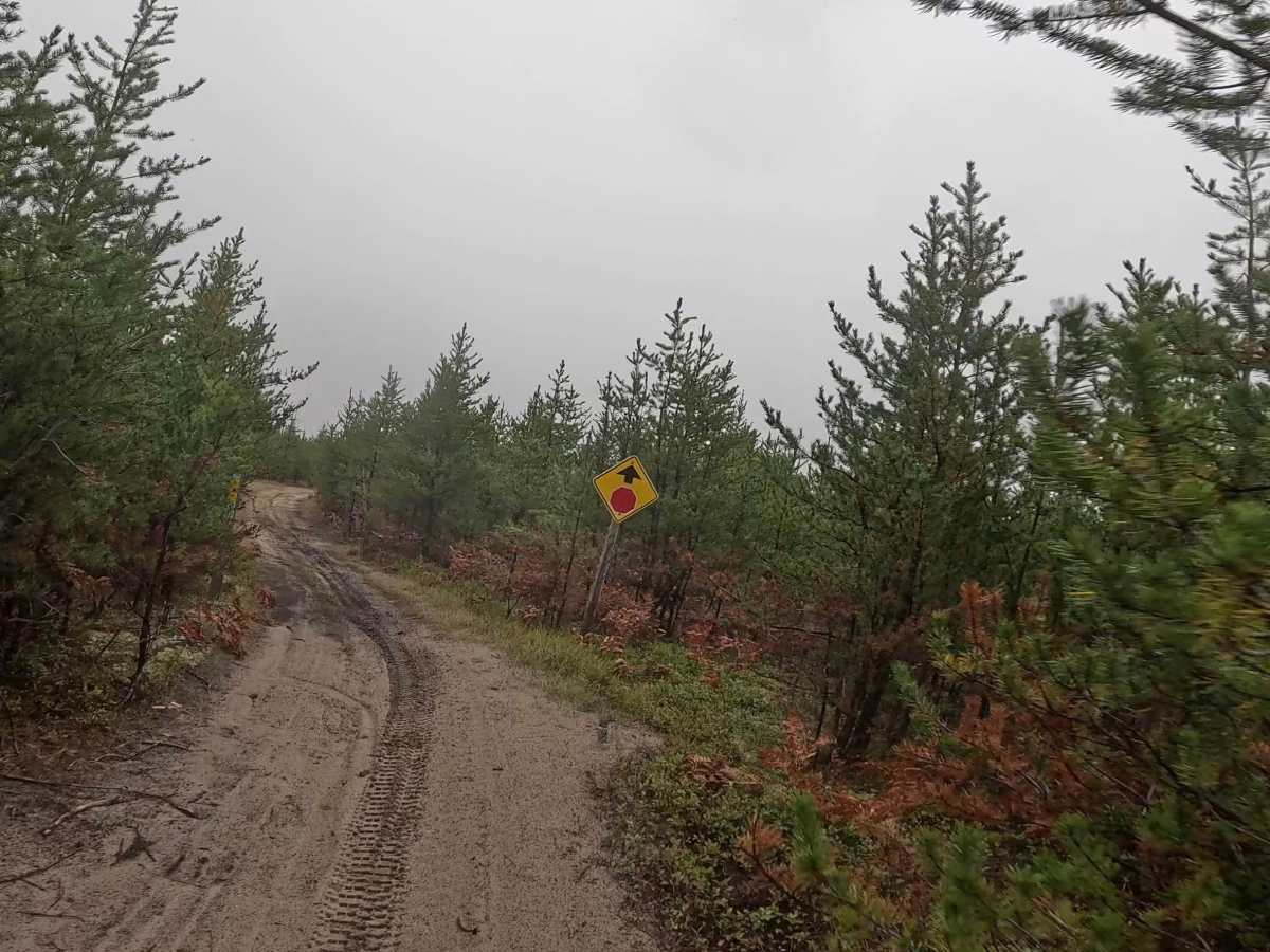 Two Hearted Trail (South) photo 2