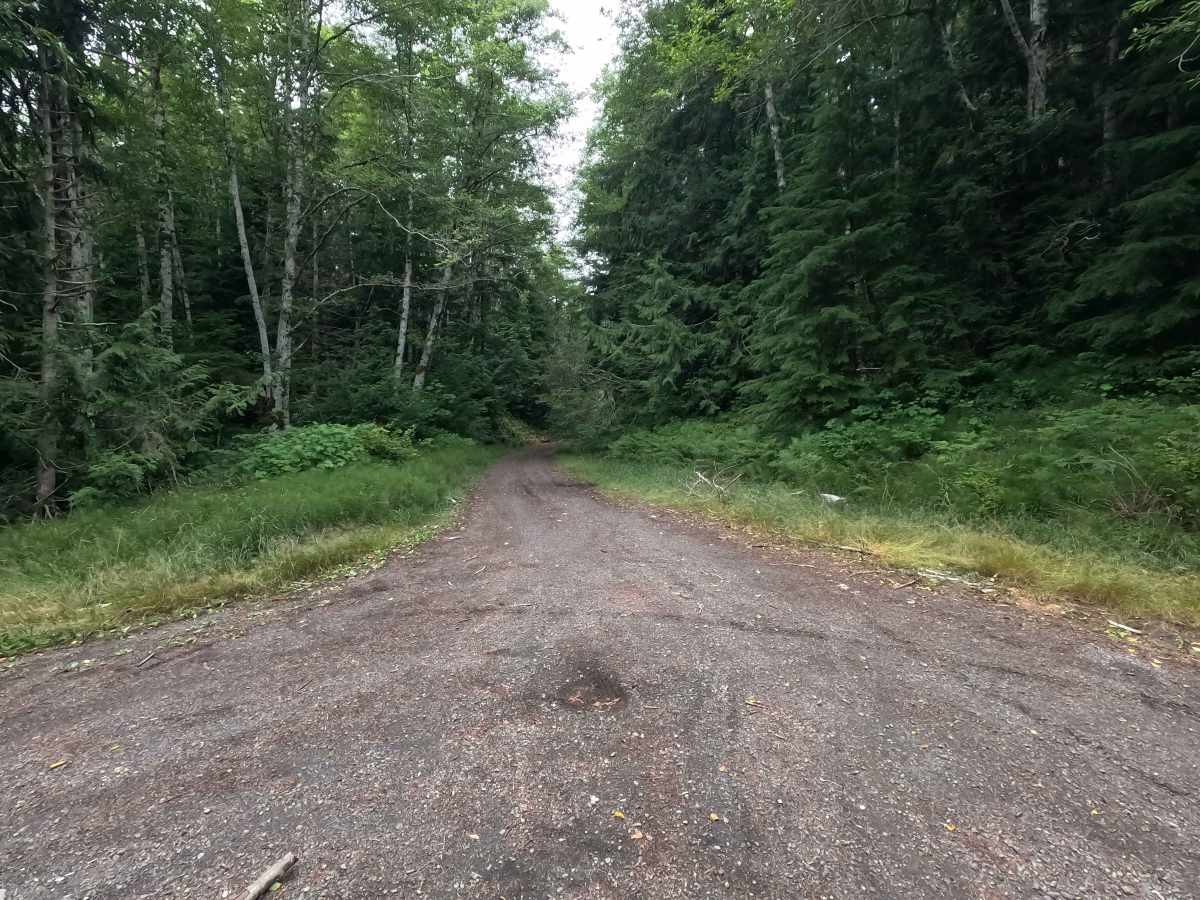 FS 2352 trail photo