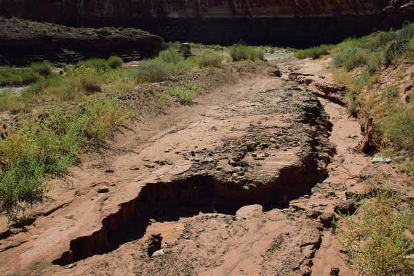 Poison Spring Canyon