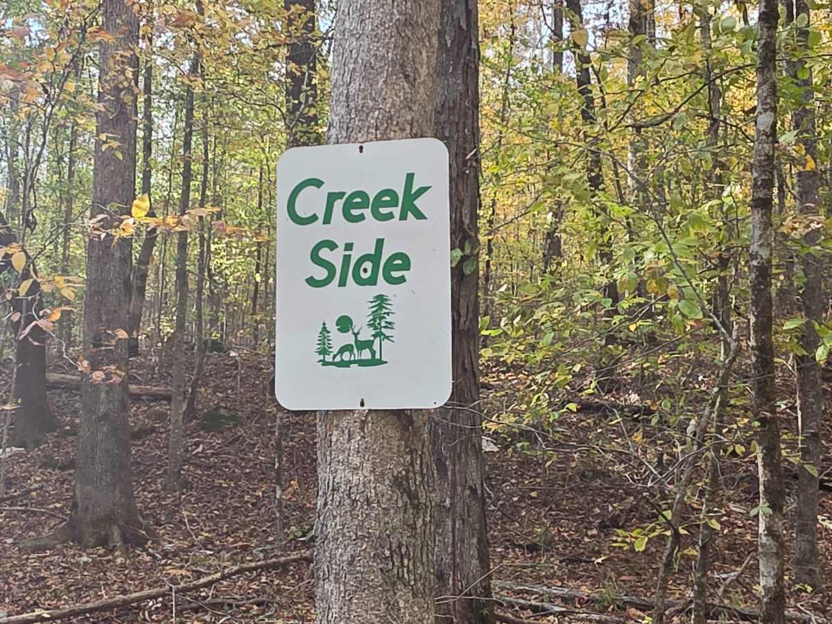 Creekside photo 3