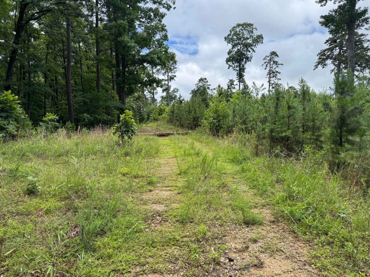 Mullins Loop photo 5