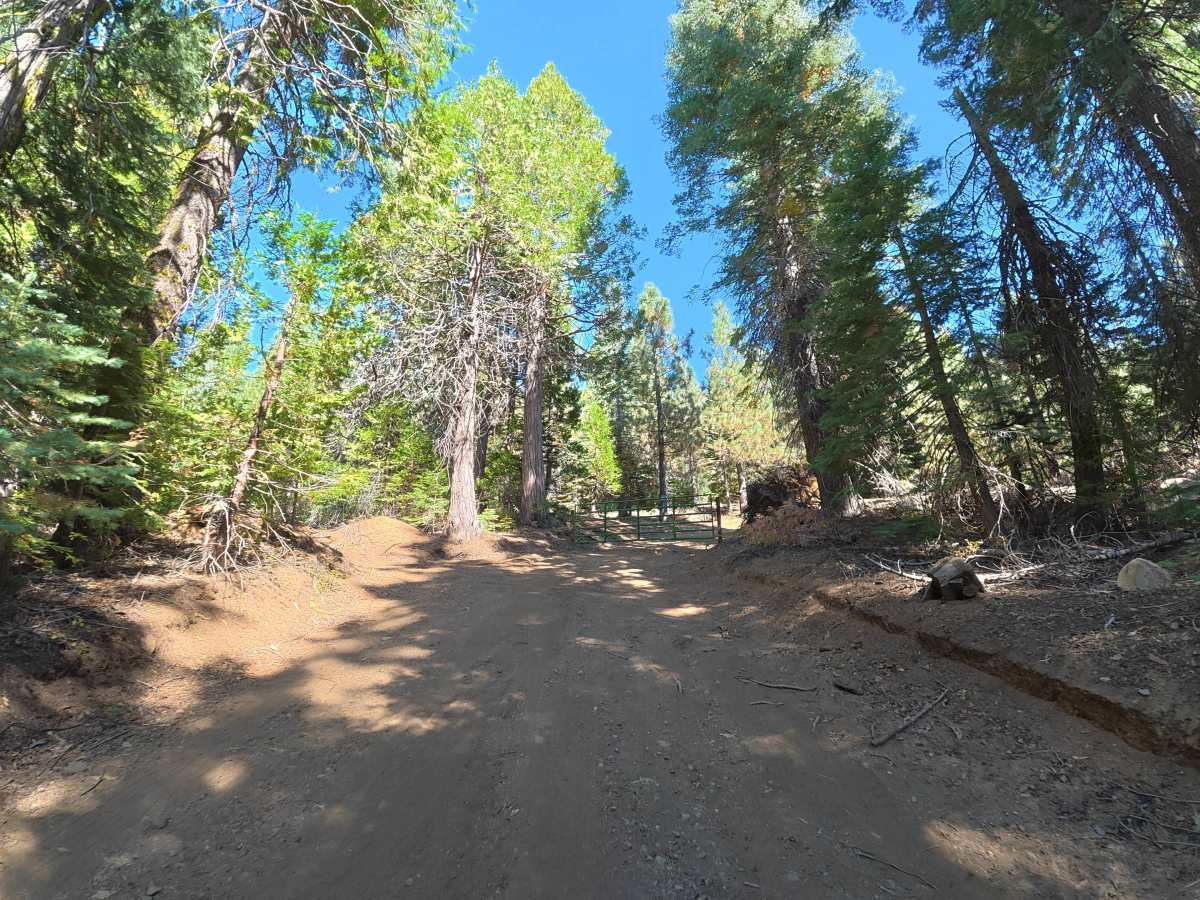 FS 6N91 trail photo
