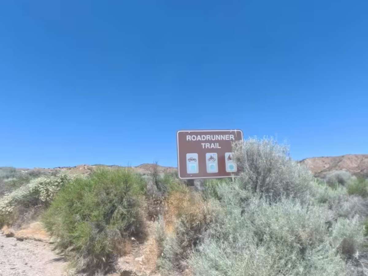 Powerline Road trail photo